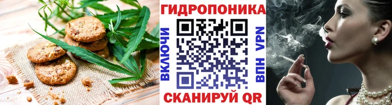 Canna-Cookies марихуана  Купить где  Горнозаводск 