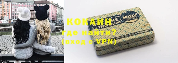 твердый Коряжма