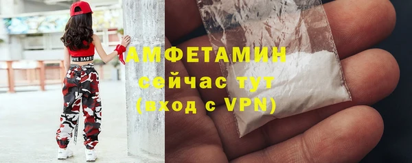 твердый Коряжма