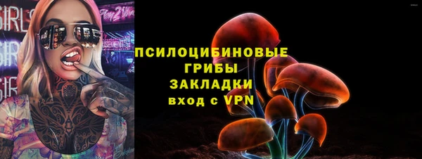 твердый Коряжма