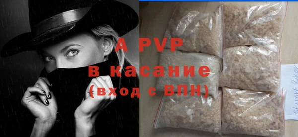 ПСИЛОЦИБИНОВЫЕ ГРИБЫ Корсаков