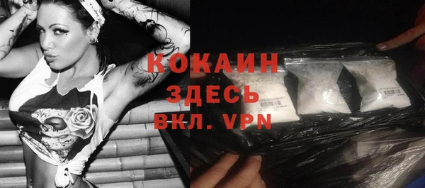 твердый Коряжма