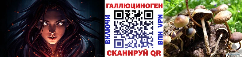 Купить Горнозаводск Псилоцибиновые грибы Magic Shrooms